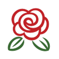 Profile photo of Rugby Rose