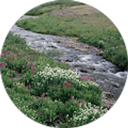 Profile photo of Benita Petersen