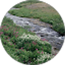 Profile photo of Benita Petersen