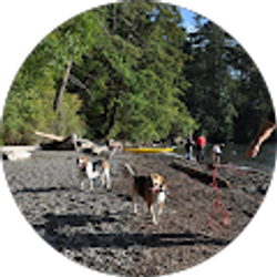 Profile photo of Tim McCartney