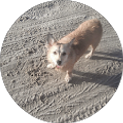 Profile photo of Jinny Ridger