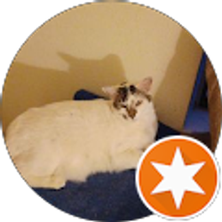 Profile photo of jerry Johnson