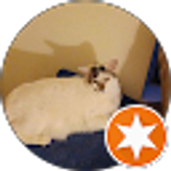 Profile photo of jerry Johnson