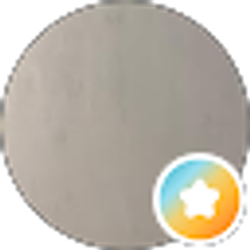 Profile photo of Megan Eaves