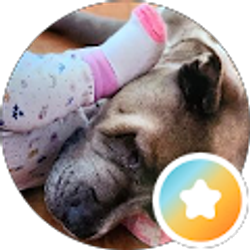 Profile photo of Mitzi Grimley