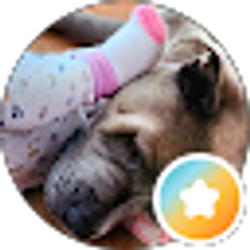 Profile photo of Mitzi Grimley