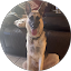 Profile photo of Gene Gominiak