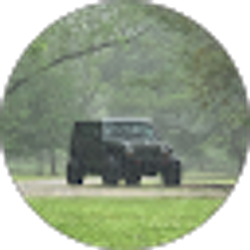 Profile photo of Kelly W