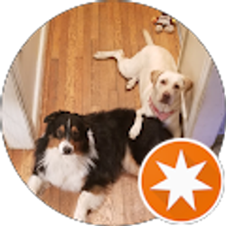 Profile photo of Ammar Wahid