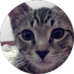 Profile photo of holly noel