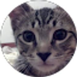 Profile photo of holly noel