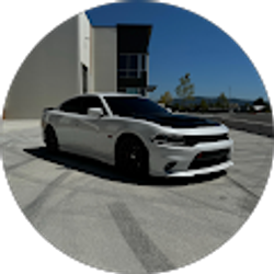 Profile photo of Alejandro Guzman palomera