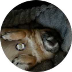 Profile photo of Jack