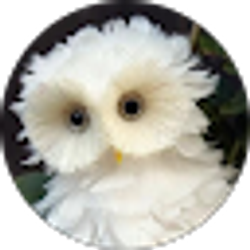 Profile photo of Claudia Leder