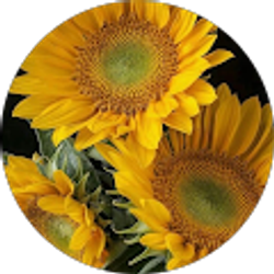 Profile photo of Natalie Peterson