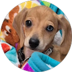 Profile photo of Carrie Kessinger-Berry