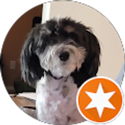 Profile photo of Daniel Lund