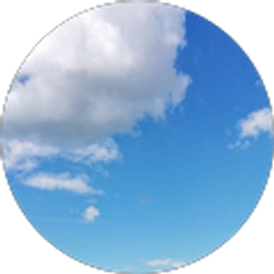 Profile photo of Jeffrey Severino