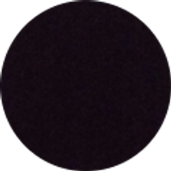 Profile photo of Holly Morris