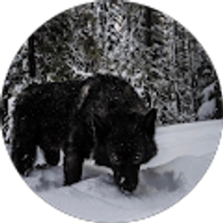 Profile photo of Malaki Mejia