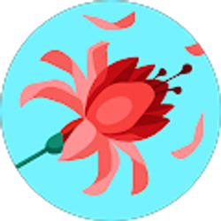 Profile photo of Lorie Siever