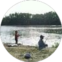 Profile photo of Derek Scalez