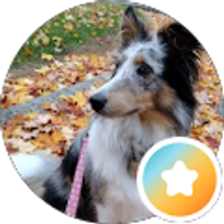 Profile photo of Maranda Roark