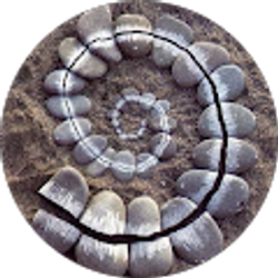 Profile photo of Aaron Chevalley