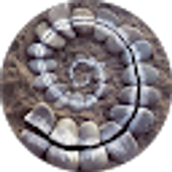 Profile photo of Aaron Chevalley