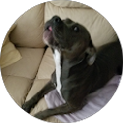 Profile photo of Janet Baustert