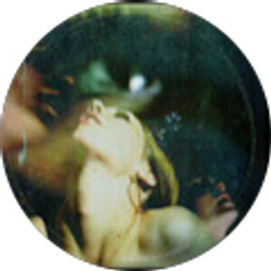 Profile photo of nun nun