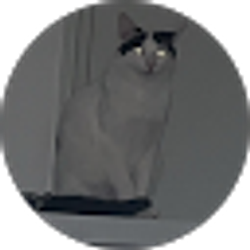 Profile photo of Andrea Orellana