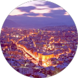 Profile photo of Admir Pavlovic