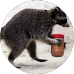 Profile photo of pedro aguilera