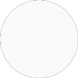 Profile photo of Jimie Ridnour