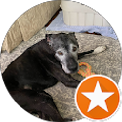 Profile photo of Onie Wall