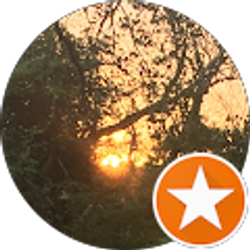 Profile photo of Mitchell