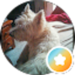 Profile photo of Wendy “WLHofTN” Higgins