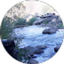 Profile photo of Raymond Marvin