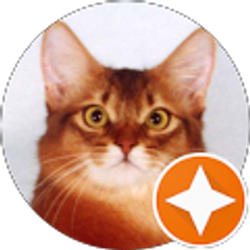 Profile photo of Monica M.