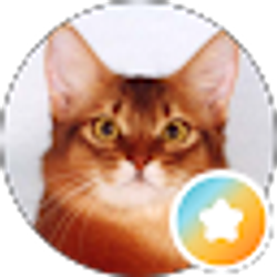 Profile photo of Monica M.