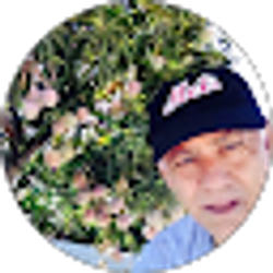 Profile photo of Felipe Pena