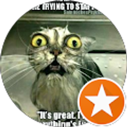 Profile photo of d gray