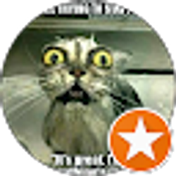 Profile photo of d gray