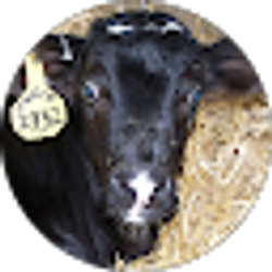 Profile photo of Janice Siegford