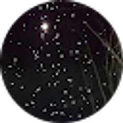 Profile photo of tray Johnson