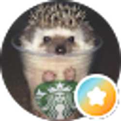 Profile photo of Melody