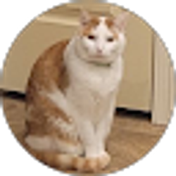 Profile photo of DJ Douglas