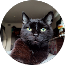 Profile photo of Nebula Krakora