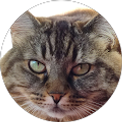 Profile photo of Aaron Freeman